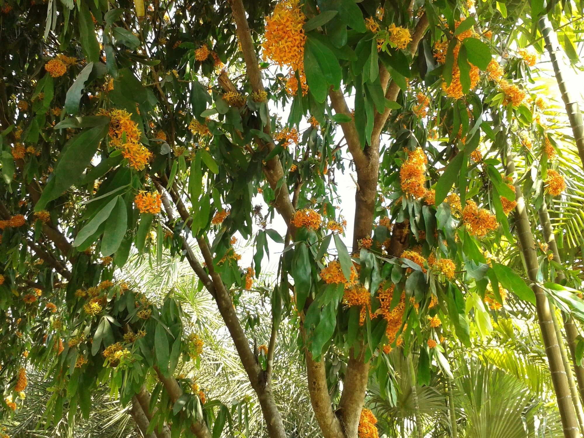 Huan Chiang Dao Resort Εξωτερικό φωτογραφία